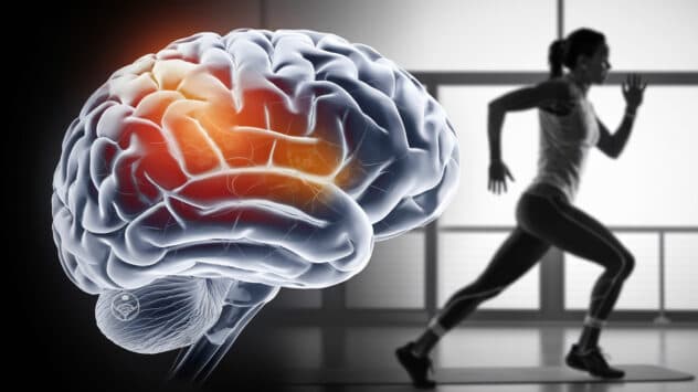 How Exercise Shapes Your Brain: The Science of Neuroplasticity